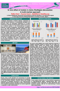 Poster PDF