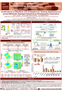 Poster PDF