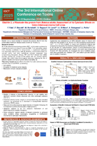 Poster PDF