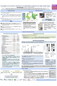 Poster PDF