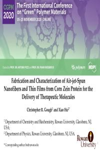 Poster PDF