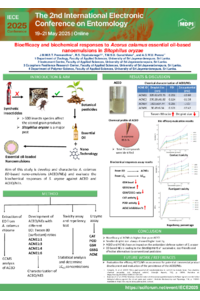 Poster PDF