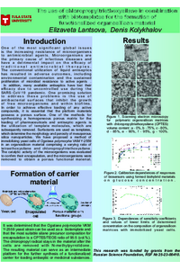 Poster PDF