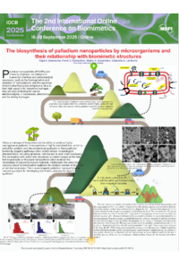 Poster PDF