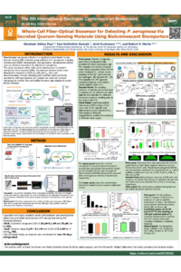 Poster PDF