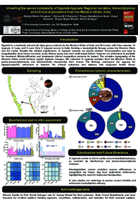 Poster PDF
