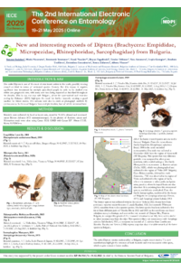 Poster PDF