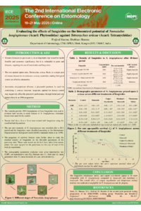 Poster PDF