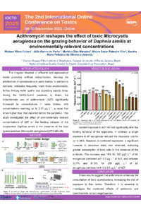 Poster PDF