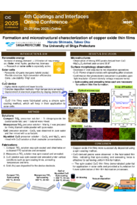 Poster PDF