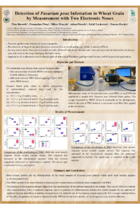 Poster PDF