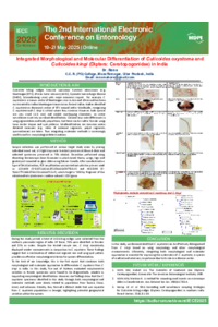 Poster PDF