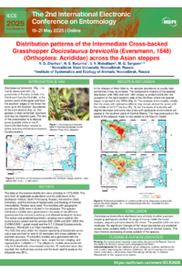 Poster PDF
