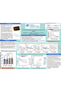 Poster PDF