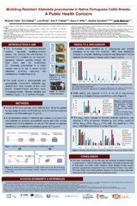 Poster PDF