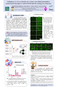 Poster PDF