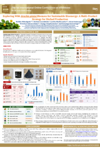 Poster PDF