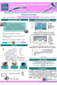 Poster PDF