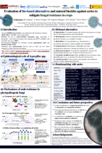 Poster PDF
