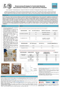 Poster PDF