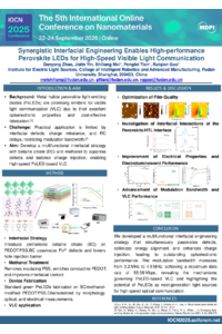 Poster PDF
