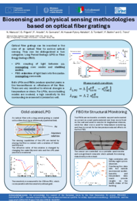 Poster PDF