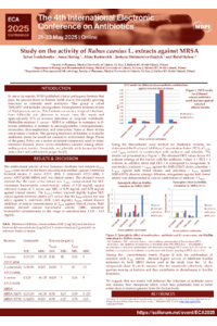 Poster PDF