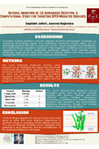 Poster PDF