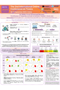 Poster PDF