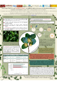 Poster PDF