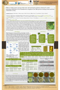 Poster PDF