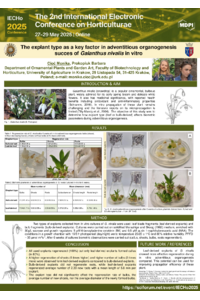 Poster PDF