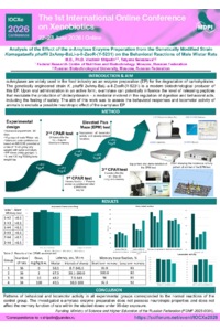 Poster PDF