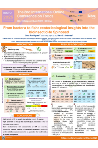 Poster PDF