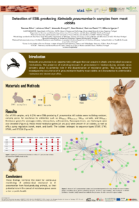 Poster PDF