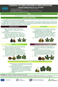 Poster PDF