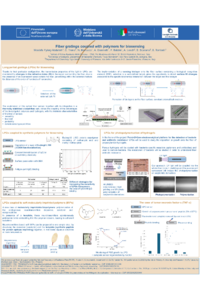 Poster PDF