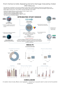 Poster PDF