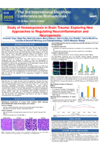 Poster PDF