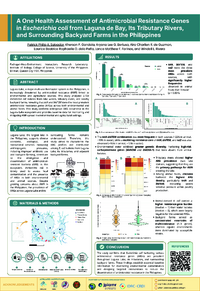 Poster PDF
