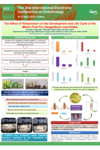 Poster PDF