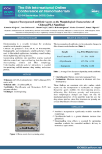 Poster PDF