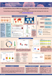 Poster PDF