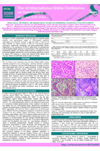 Poster PDF