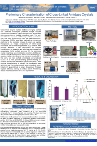 Poster PDF