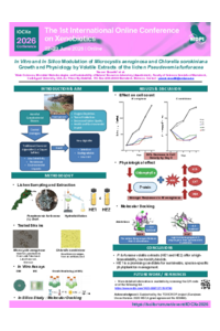 Poster PDF