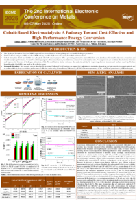 Poster PDF