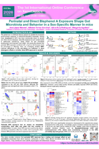 Poster PDF