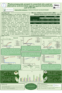 Poster PDF