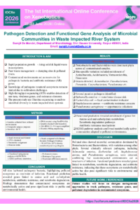 Poster PDF